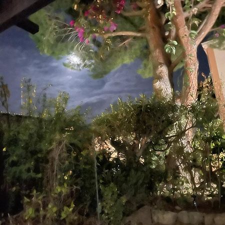 Studio Bandol Avec Jardin Εξωτερικό φωτογραφία