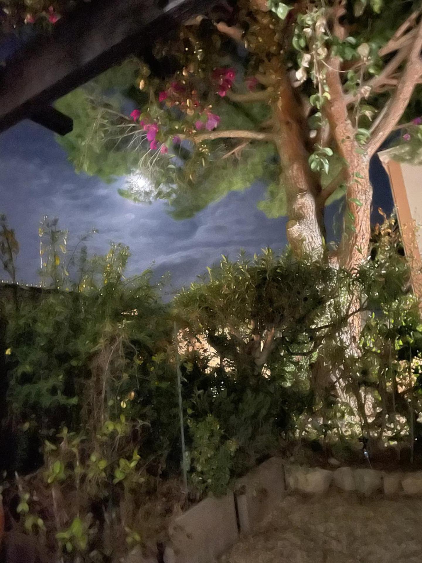 Studio Bandol Avec Jardin Εξωτερικό φωτογραφία